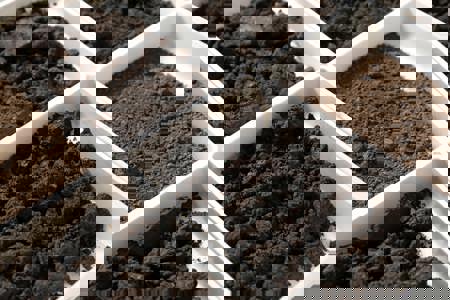 Soil samples in trays Soil samples in trays