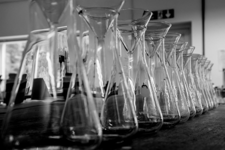 Flasks in the Chemistry Laboratory