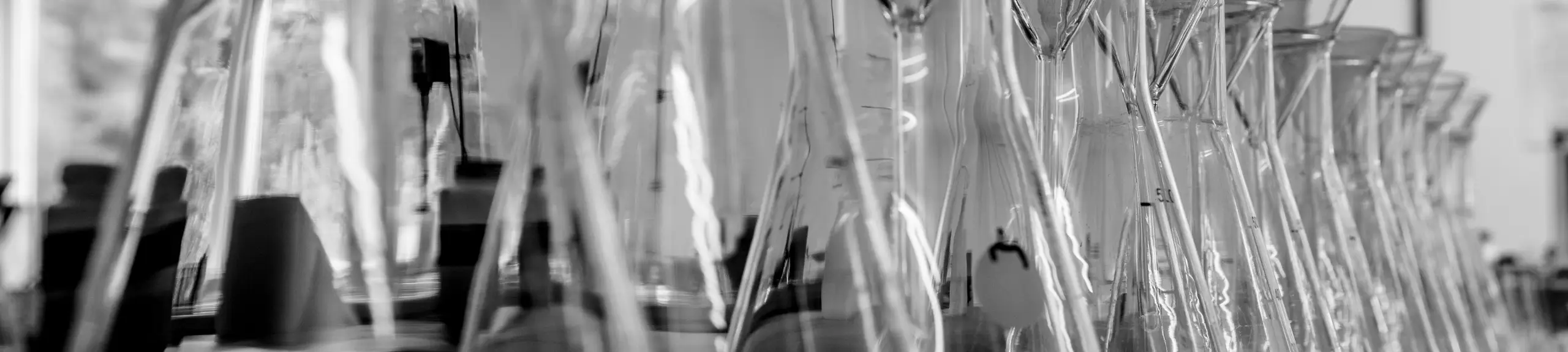 Flasks in the Chemistry Laboratory Flasks in the Chemistry Laboratory